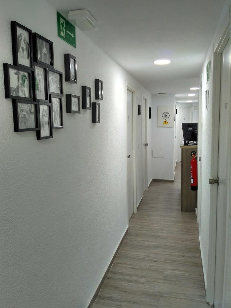 Guesthouse Central アリカンテ エクステリア 写真